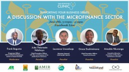 Microfinance Sector