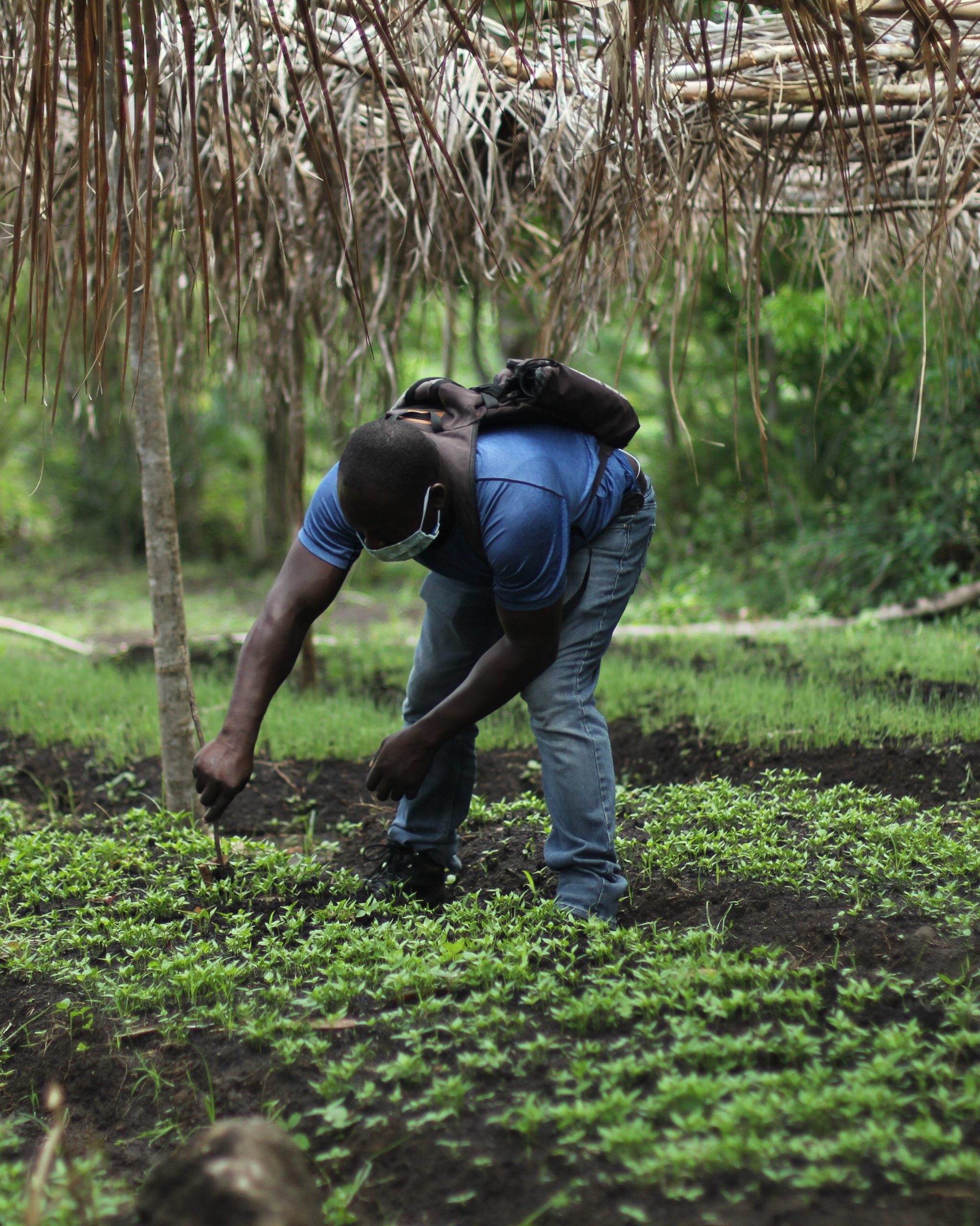 What we learned this month about how to promote recovery in Uganda’s agribusiness sector